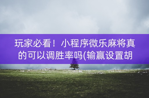 玩家必看！小程序微乐麻将真的可以调胜率吗(输赢设置胡牌规律)
