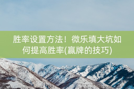 胜率设置方法！微乐填大坑如何提高胜率(赢牌的技巧)