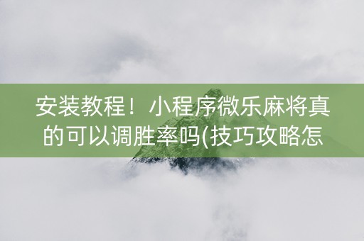 安装教程！小程序微乐麻将真的可以调胜率吗(技巧攻略怎样拿好牌)