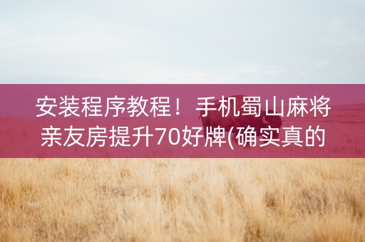 安装程序教程！手机蜀山麻将亲友房提升70好牌(确实真的有挂)