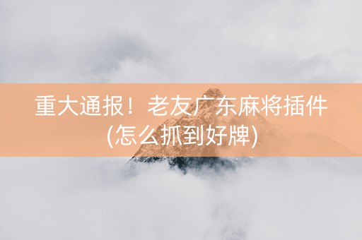 重大通报！老友广东麻将插件(怎么抓到好牌)