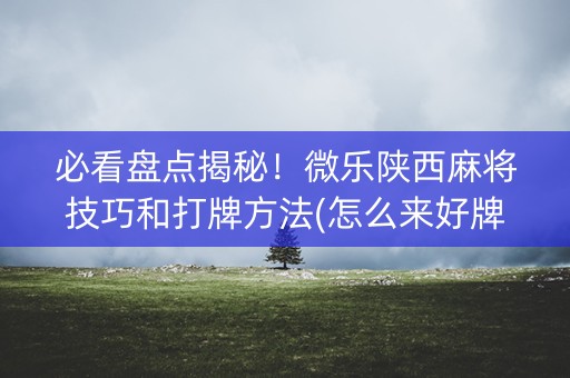 必看盘点揭秘！微乐陕西麻将技巧和打牌方法(怎么来好牌)