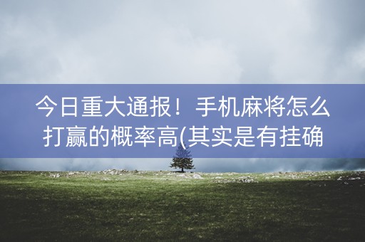 今日重大通报！手机麻将怎么打赢的概率高(其实是有挂确实有挂)