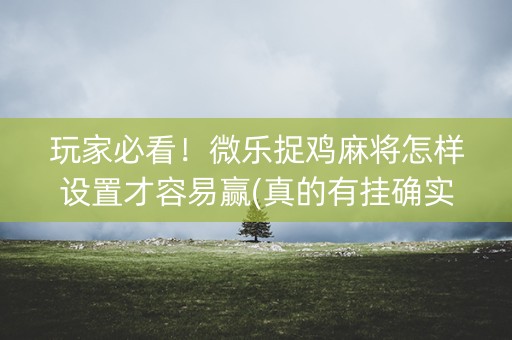 玩家必看！微乐捉鸡麻将怎样设置才容易赢(真的有挂确实有挂)