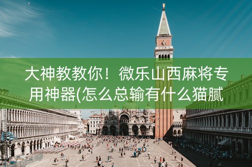 大神教教你！微乐山西麻将专用神器(怎么总输有什么猫腻)