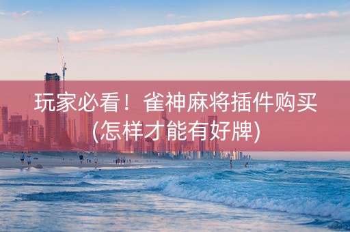 玩家必看！雀神麻将插件购买(怎样才能有好牌)