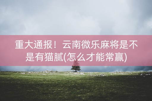 重大通报！云南微乐麻将是不是有猫腻(怎么才能常赢)