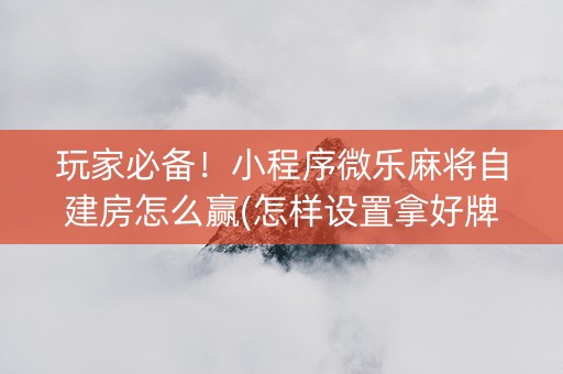 玩家必备！小程序微乐麻将自建房怎么赢(怎样设置拿好牌)