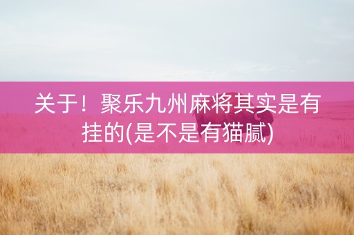 关于！聚乐九州麻将其实是有挂的(是不是有猫腻)