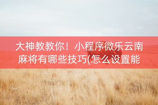 大神教教你！小程序微乐云南麻将有哪些技巧(怎么设置能有好牌)