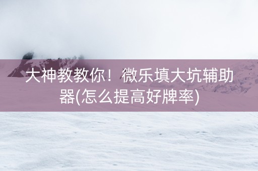 大神教教你！微乐填大坑辅助器(怎么提高好牌率)