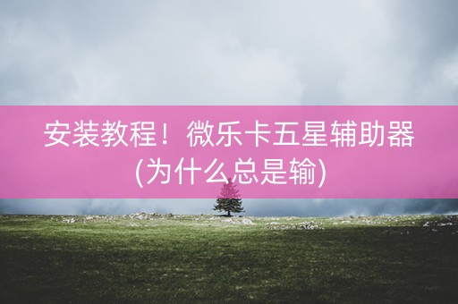 安装教程！微乐卡五星辅助器(为什么总是输)
