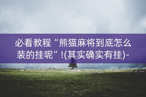 必看教程“熊猫麻将到底怎么装的挂呢”!(其实确实有挂)-知乎