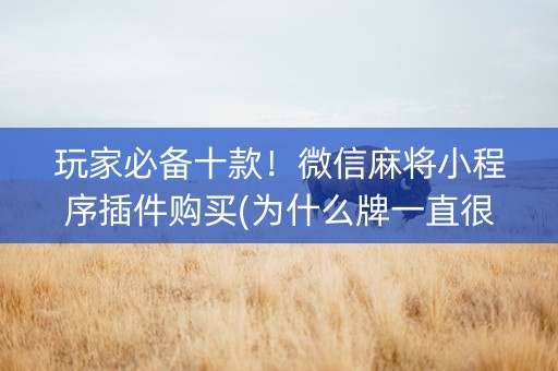 玩家必备十款！微信麻将小程序插件购买(为什么牌一直很差)