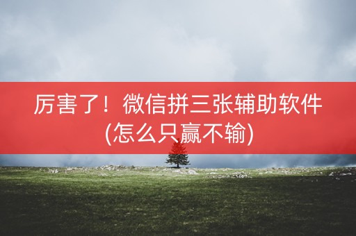 厉害了！微信拼三张辅助软件(怎么只赢不输)