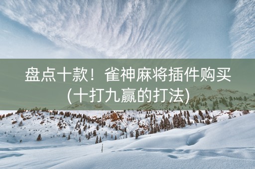 盘点十款！雀神麻将插件购买(十打九赢的打法)