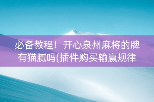 必备教程！开心泉州麻将的牌有猫腻吗(插件购买输赢规律)
