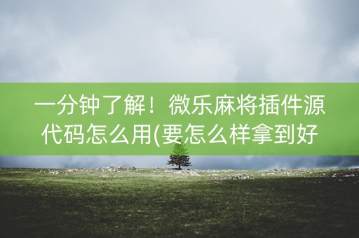 一分钟了解！微乐麻将插件源代码怎么用(要怎么样拿到好牌)