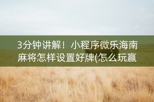 3分钟讲解！小程序微乐海南麻将怎样设置好牌(怎么玩赢几率大)