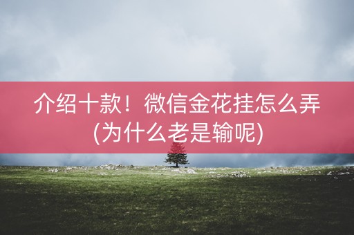 介绍十款！微信金花挂怎么弄(为什么老是输呢)
