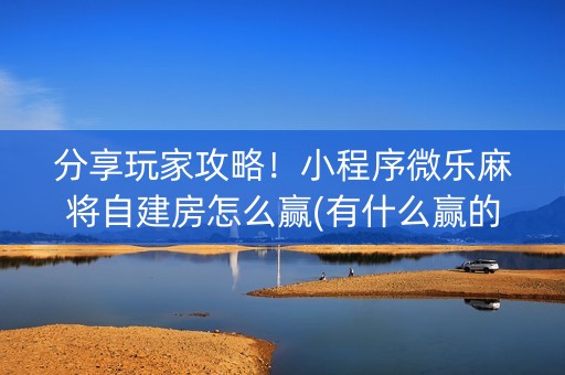 分享玩家攻略！小程序微乐麻将自建房怎么赢(有什么赢的技巧)