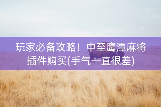 玩家必备攻略！中至鹰潭麻将插件购买(手气一直很差)