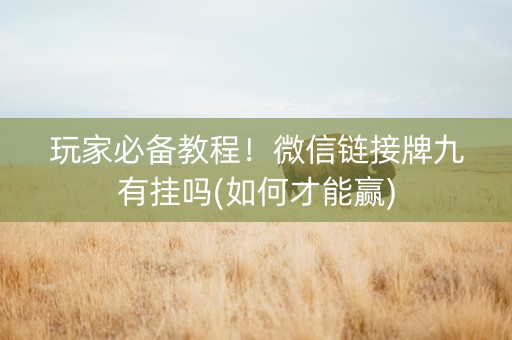 玩家必备教程！微信链接牌九有挂吗(如何才能赢)