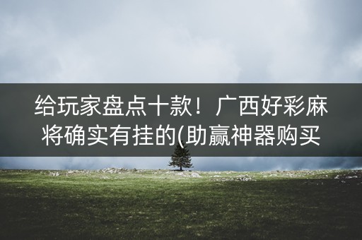 给玩家盘点十款！广西好彩麻将确实有挂的(助赢神器购买)
