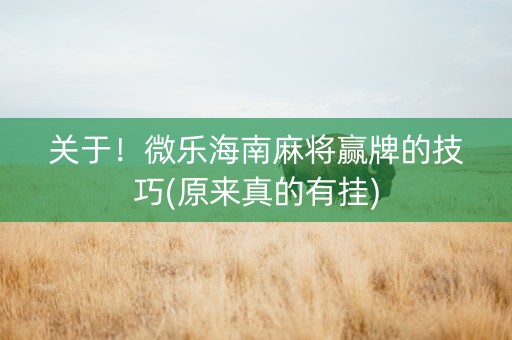 关于！微乐海南麻将赢牌的技巧(原来真的有挂)