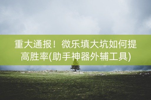 重大通报！微乐填大坑如何提高胜率(助手神器外辅工具)