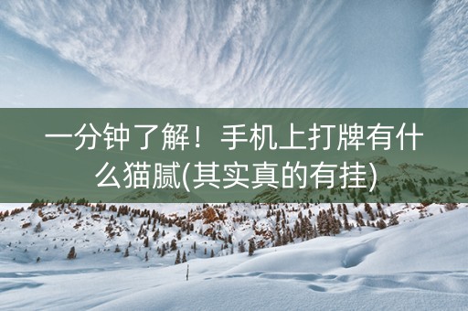 一分钟了解！手机上打牌有什么猫腻(其实真的有挂)