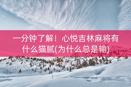 一分钟了解！心悦吉林麻将有什么猫腻(为什么总是输)