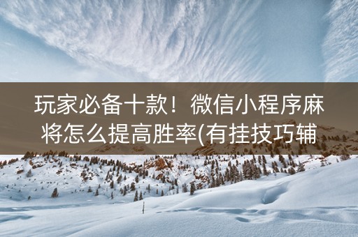 玩家必备十款！微信小程序麻将怎么提高胜率(有挂技巧辅助器)