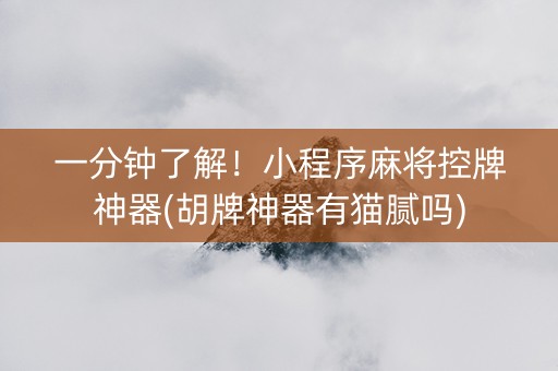 一分钟了解！小程序麻将控牌神器(胡牌神器有猫腻吗)