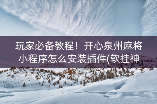 玩家必备教程！开心泉州麻将小程序怎么安装插件(软挂神器)
