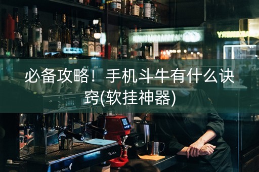必备攻略！手机斗牛有什么诀窍(软挂神器)