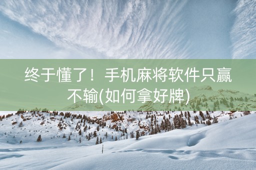 终于懂了！手机麻将软件只赢不输(如何拿好牌)