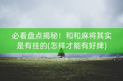 必看盘点揭秘！和和麻将其实是有挂的(怎样才能有好牌)