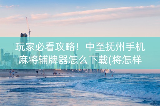 玩家必看攻略！中至抚州手机麻将辅牌器怎么下载(将怎样比较容易赢)