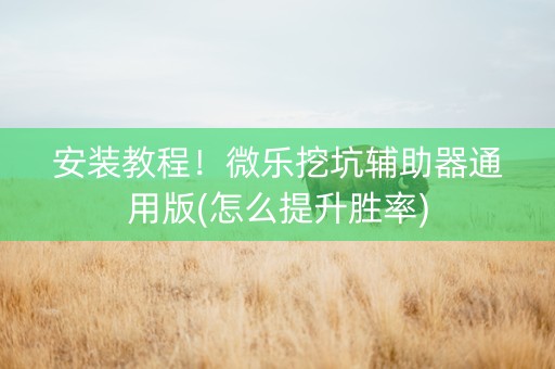 安装教程！微乐挖坑辅助器通用版(怎么提升胜率)