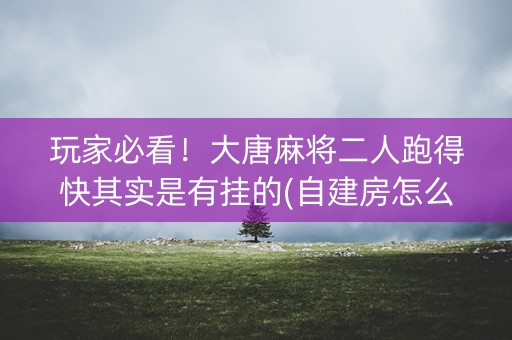 玩家必看！大唐麻将二人跑得快其实是有挂的(自建房怎么赢)