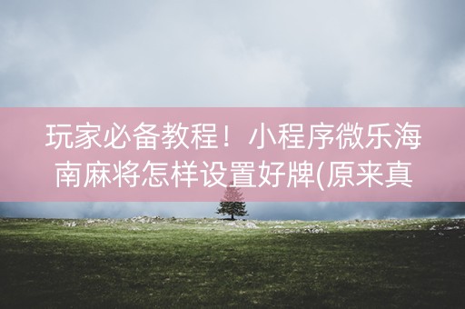 玩家必备教程！小程序微乐海南麻将怎样设置好牌(原来真的有挂)