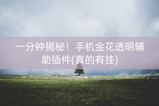 一分钟揭秘！手机金花透明辅助插件(真的有挂)