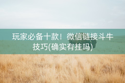 玩家必备十款！微信链接斗牛技巧(确实有挂吗)