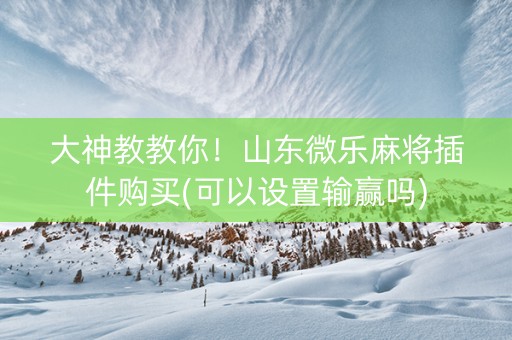 大神教教你！山东微乐麻将插件购买(可以设置输赢吗)