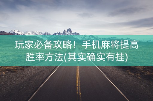 玩家必备攻略！手机麻将提高胜率方法(其实确实有挂)