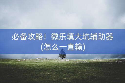 必备攻略！微乐填大坑辅助器(怎么一直输)
