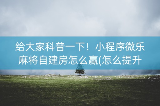 给大家科普一下！小程序微乐麻将自建房怎么赢(怎么提升胜率)