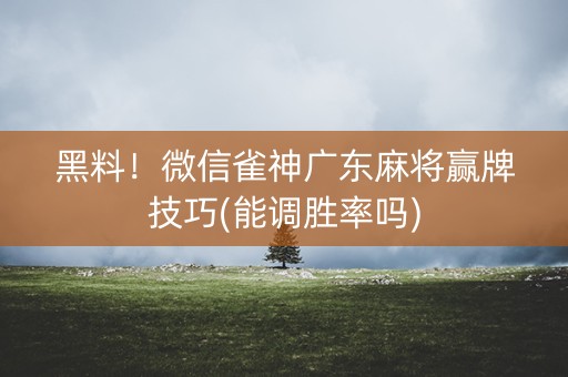 黑料！微信雀神广东麻将赢牌技巧(能调胜率吗)