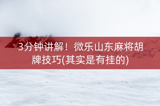3分钟讲解！微乐山东麻将胡牌技巧(其实是有挂的)